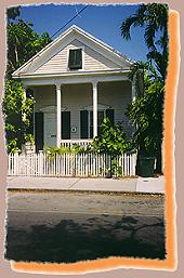 conch2.jpg (14514 bytes)